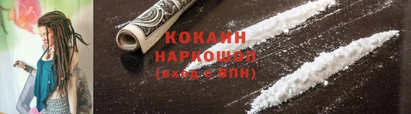 прущие крисы Аркадак