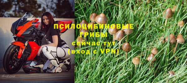 прущие крисы Аркадак