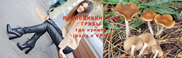 прущие крисы Аркадак
