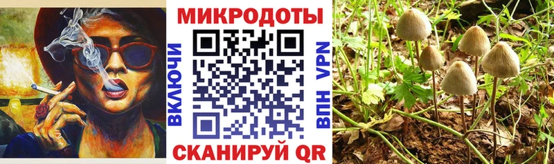 Галлюциногенные грибы Psilocybe  купить наркотики цена  Арсеньев 